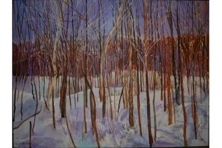 Fresh Snowfall - Toni Wrightsman